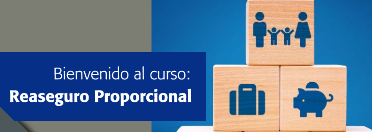 Reaseguro Proporcional 2024