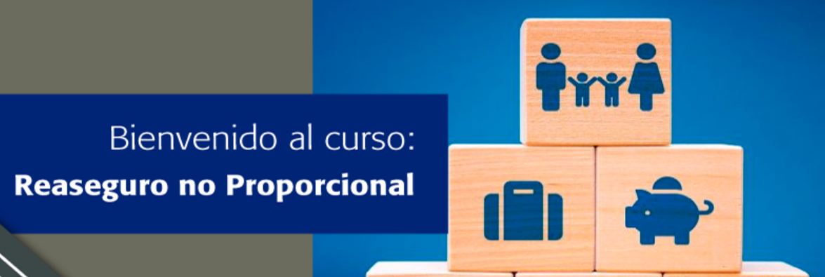 Reaseguro No Proporcional 2024